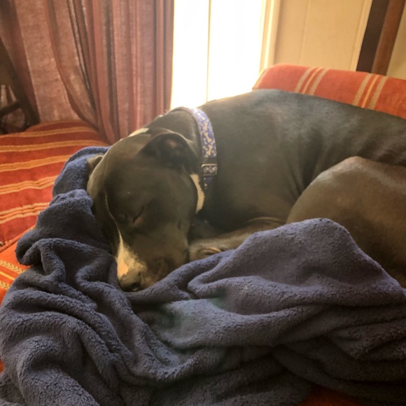 Meet your Posher, Lori - Picture 1 of 1